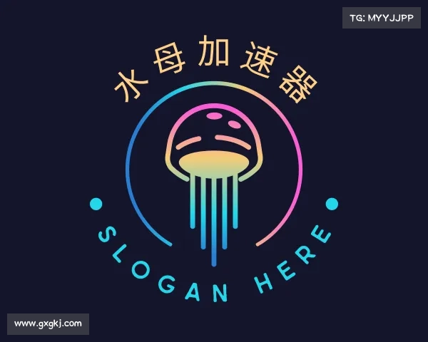 解读水母加速器